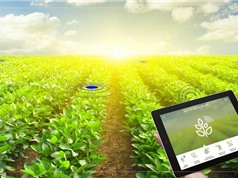 Liên kết “Bốn nhà” Điều thiết yếu để phát triển nông nghiệp thông minh