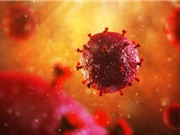 Cấy ghép tế bào gốc có thể trị HIV