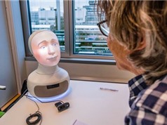Robot phỏng vấn việc làm đầu tiên trên thế giới