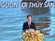 Phát triển ngành Thủy sản Việt Nam theo hướng hiện đại, bền vững, hài hòa