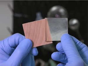 Chế tạo gỗ trong suốt có thể lưu trữ và giải phóng nhiệt Chế tạo gỗ trong suốt có thể lưu trữ và giải phóng nhiệt