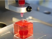 Israel chế tạo trái tim in 3D đầu tiên bằng mô người