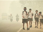WHO: 4 triệu trẻ em trên thế giới bị hen suyễn do hít phải khói xe máy, ôtô mỗi năm