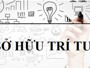 Cục Sở hữu trí tuệ: Năng lực xử lý đơn tăng 10%