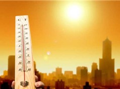 2019 có thể là năm nóng nhất trong lịch sử