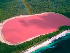 Tại sao hồ nước này ở Úc lại có màu hồng?