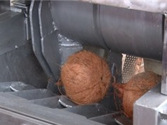 Bến Tre: Nghiên cứu công nghệ và thiết kế chế tạo hệ thống thiết bị cắt, tách gáo và làm sạch vỏ nâu cơm dừa