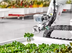 California: trang trại robot bắt đầu bán những sản phẩm đầu tiên