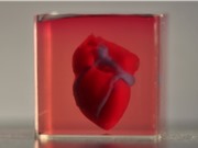 Các nhà khoa học Israel đã in 3D thành công một trái tim sống