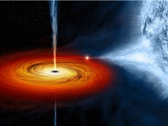 Phát hiện sóng hấp dẫn từ vụ va chạm giữa sao neutron và hố đen
