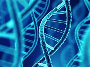 Phát hiện người đàn ông có DNA lâu đời nhất ở Bắc Mỹ