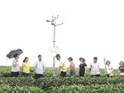 Thái Nguyên: Ứng dụng công nghệ iMetos hỗ trợ sản xuất nông nghiệp