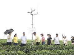 Thái Nguyên: Ứng dụng công nghệ iMetos hỗ trợ sản xuất nông nghiệp