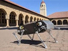 Sinh viên Stanford chia sẻ công nghệ chế tạo chó robot 