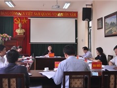 Lạng Sơn: Xây dựng nhãn hiệu tập thể cho sản phẩm Thanh long của huyện Bình Gia