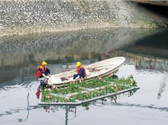 Nước sông Tô Lịch 'hồi sinh' sau một tuần 'giải cứu'
