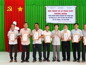 Đồng Nai: 7 hộ trồng hồ tiêu được cấp giấy chứng nhận GlobalGAP