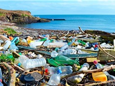 Con người tạo ra 300 triệu tấn rác thải nhựa mỗi năm