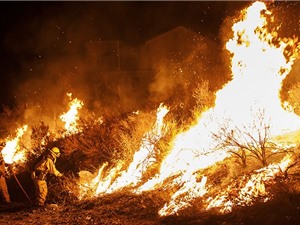Nghiên cứu cháy rừng bằng cách… đốt rừng