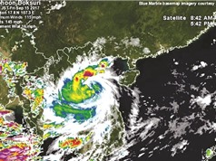 Việt Nam làm chủ công nghệ dự báo bão hạn mùa bằng mô hình động lực