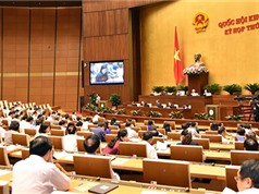Quốc hội tán thành những sửa đổi trong Luật sở hữu trí tuệ