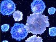 Thử nghiệm lâm sàng thuốc tế bào điều trị ung thư: Bước tiến lớn trong y học
