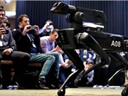 CEO Boston Dynamics muốn chó robot tham gia đấu trường