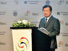 Phó Thủ tướng khuyến khích doanh nghiệp Việt Nam-Italy mở rộng hợp tác