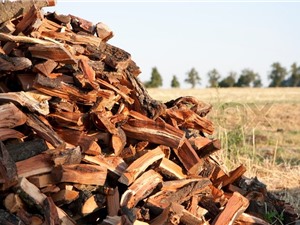 Cam kết sản phẩm gỗ trong mua sắm công là gỗ hợp pháp