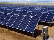 Facebook xây trang trại điện Mặt trời khổng lồ công suất 379 MW