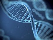 Trung Quốc hạn chế việc thu thập DNA trái phép