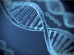 Trung Quốc hạn chế việc thu thập DNA trái phép