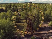 Vì sao thực vật vẫn phát triển tốt ở khu vực thảm hoạ Chernobyl?