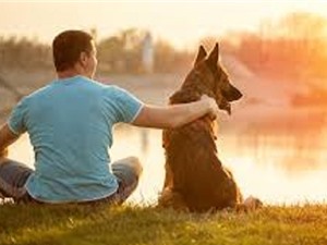 Nghiên cứu: Con người nhận nuôi chó như cách... chọn bạn đời