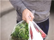 New Zealand chính thức cấm túi nhựa dùng một lần