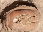 ADN cổ đại tiết lộ nguồn gốc của người Philistines