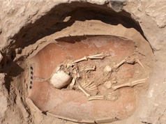 ADN cổ đại tiết lộ nguồn gốc của người Philistines