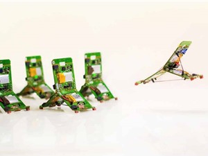 Robot hoạt động giống kiến thật Robot hoạt động giống kiến thật
