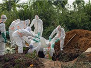 Ebola bùng phát, Tổ chức Y tế Thế giới tuyên bố tình trạng khẩn cấp quốc tế 
