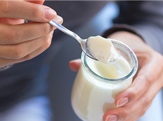 Sữa chua giúp giảm nguy cơ ung thư ruột ở nam giới