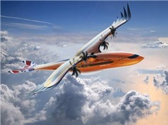 Airbus giới thiệu thiết kế máy bay giống chim săn mồi