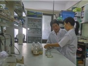 Nhà khoa học Việt công bố 3 chế phẩm sinh học xử lý rác thải nhựa 