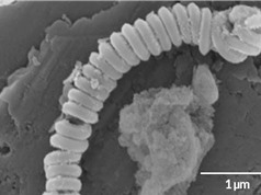 Cuộn dây nano giúp phân hủy hạt vi nhựa trong đại dương