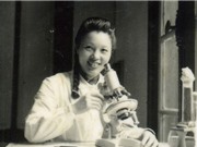 Vi Kim Ngọc: Người khởi tạo từ điển hình ảnh về muỗi