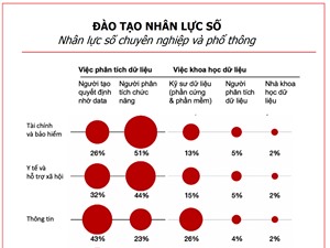 Thị trường dữ liệu đang cần nhân lực ở phân khúc nào?