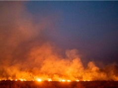 Cháy rừng Amazon khủng khiếp là vậy nhưng nguồn oxy của Trái Đất sẽ không bị mất đi
