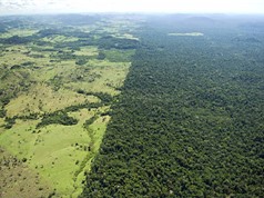 Hiệu quả 10 năm tham gia chương trình giảm phát thải từ mất rừng và suy thoái rừng
