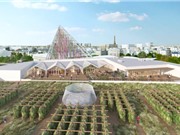 Trang trại trồng rau trên nóc nhà lớn nhất thế giới 