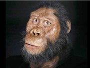 Phát hiện hóa thạch tổ tiên lâu đời nhất của con người