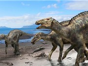 Phát hiện hoá thạch loài khủng long mỏ vịt bí ẩn sống ở Nhật Bản 72 triệu năm trước